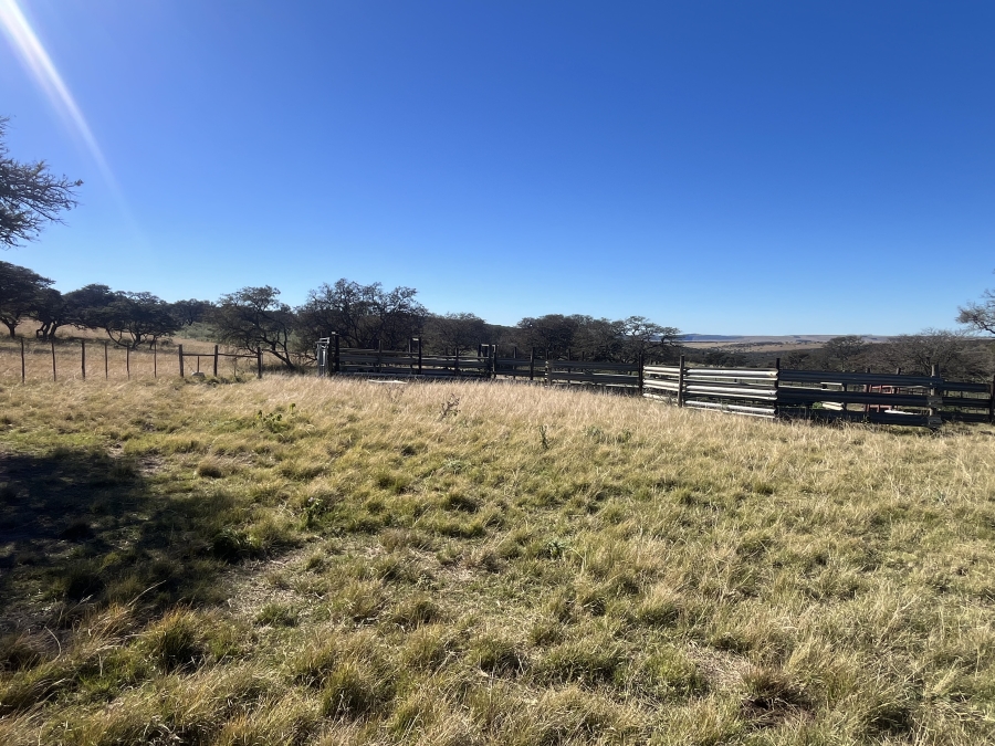 0 Bedroom Property for Sale in Stutterheim Rural Eastern Cape
